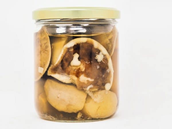 Cèpes extra au naturel têtes et jambes – Image 4